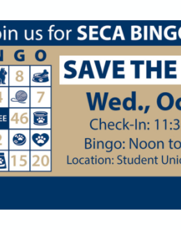 SECA Bingo