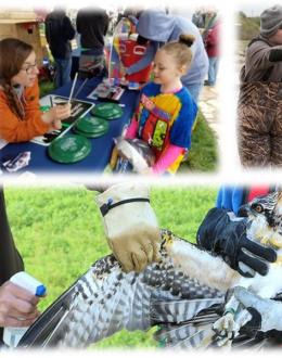 Top 5 Reasons to Get a Degree in Environmental Studies at UIS