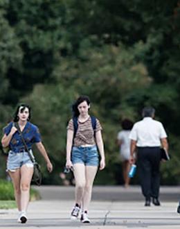 More high-achieving students can attend UIS tuition-free thanks to new program