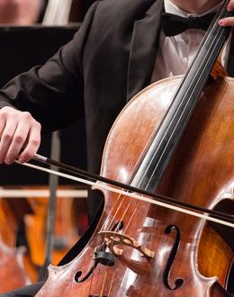 UIS Music program to hold virtual panel discussion, “From Diversity to Inclusion: Arts Advocacy and Racial Equality in the 21st Century”