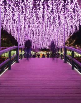 CLASS Students Exchange Culture with Ashikaga University