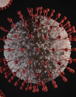 UIS and Community Health Roundtable to present “Local Physicians at the Front Lines of COVID: Nine Months of the Pandemic” webinar