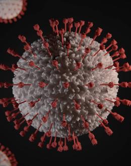 UIS and Community Health Roundtable to host a webinar on “The Lasting Effects of COVID-19”