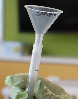 UIS, in partnership with SHIELD Illinois, is now offering free COVID-19 saliva testing to the public