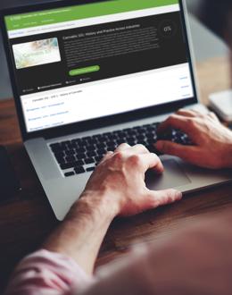 UIS partners with Green Flower to offer non-credit online certificates on cannabis industry topics