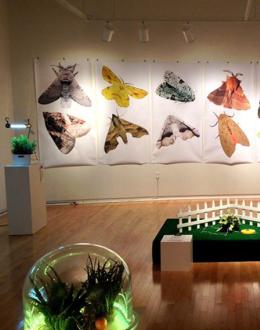UIS Visual Arts Gallery to present 180,000+, an exhibition that combines activism, research and ecological awareness by PlantBot Genetics