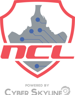 UIS computer science students among best in The National Cyber League competition