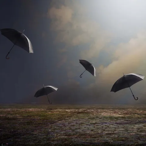 Under the Umbrella - Senior Art Exhibition