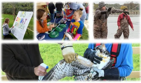 Top 5 Reasons to Get a Degree in Environmental Studies at UIS