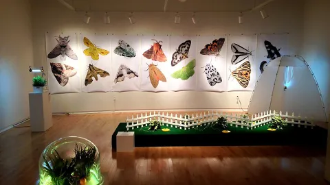 UIS Visual Arts Gallery to present 180,000+, an exhibition that combines activism, research and ecological awareness by PlantBot Genetics