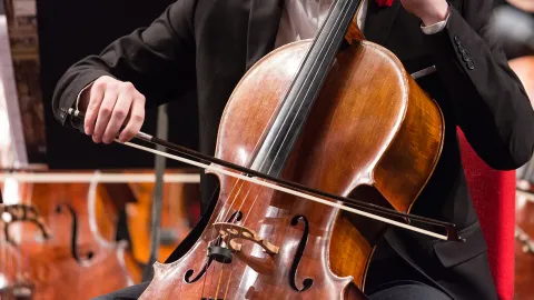 UIS Music program to hold virtual panel discussion, “From Diversity to Inclusion: Arts Advocacy and Racial Equality in the 21st Century”