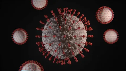 UIS and Community Health Roundtable to explore animals’ ability to transmit infections to humans