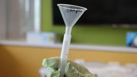 UIS, in partnership with SHIELD Illinois, is now offering free COVID-19 saliva testing to the public