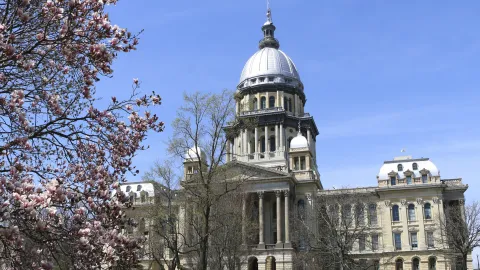 UIS and the Illinois Legislative Black Caucus Foundation partner to create a virtual speaker series