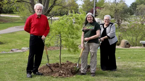 UIS plants the first of 1,000 donated Japanese maple trees on campus